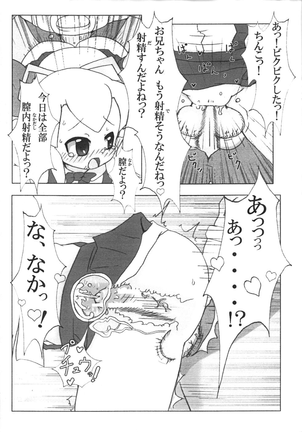 [Crazy Wolf (Rakuou Marsh)] Roll-chan no H na! Hon (Megaman) - Page 10