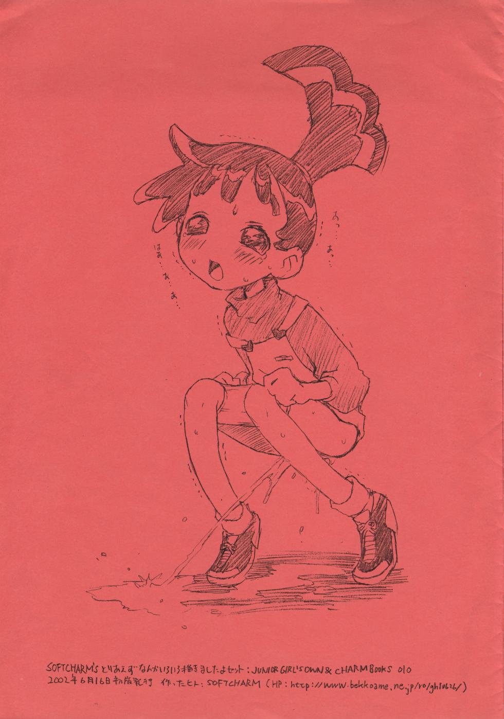 [CHARM BOOKS (SOFTCHARM)] SOFTCHARM’S Toriaezu Nanka Iroiro Kakimashita yo Set (Various) - Page 6