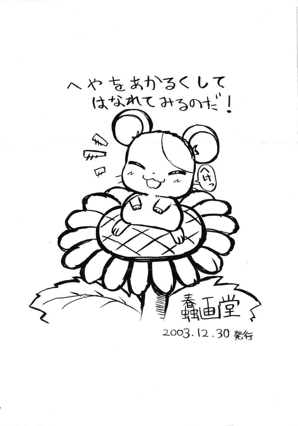 (C65) [Shungadou (Hazuki Shun)] Superstar Hamster (Hamtaro) - Page 10