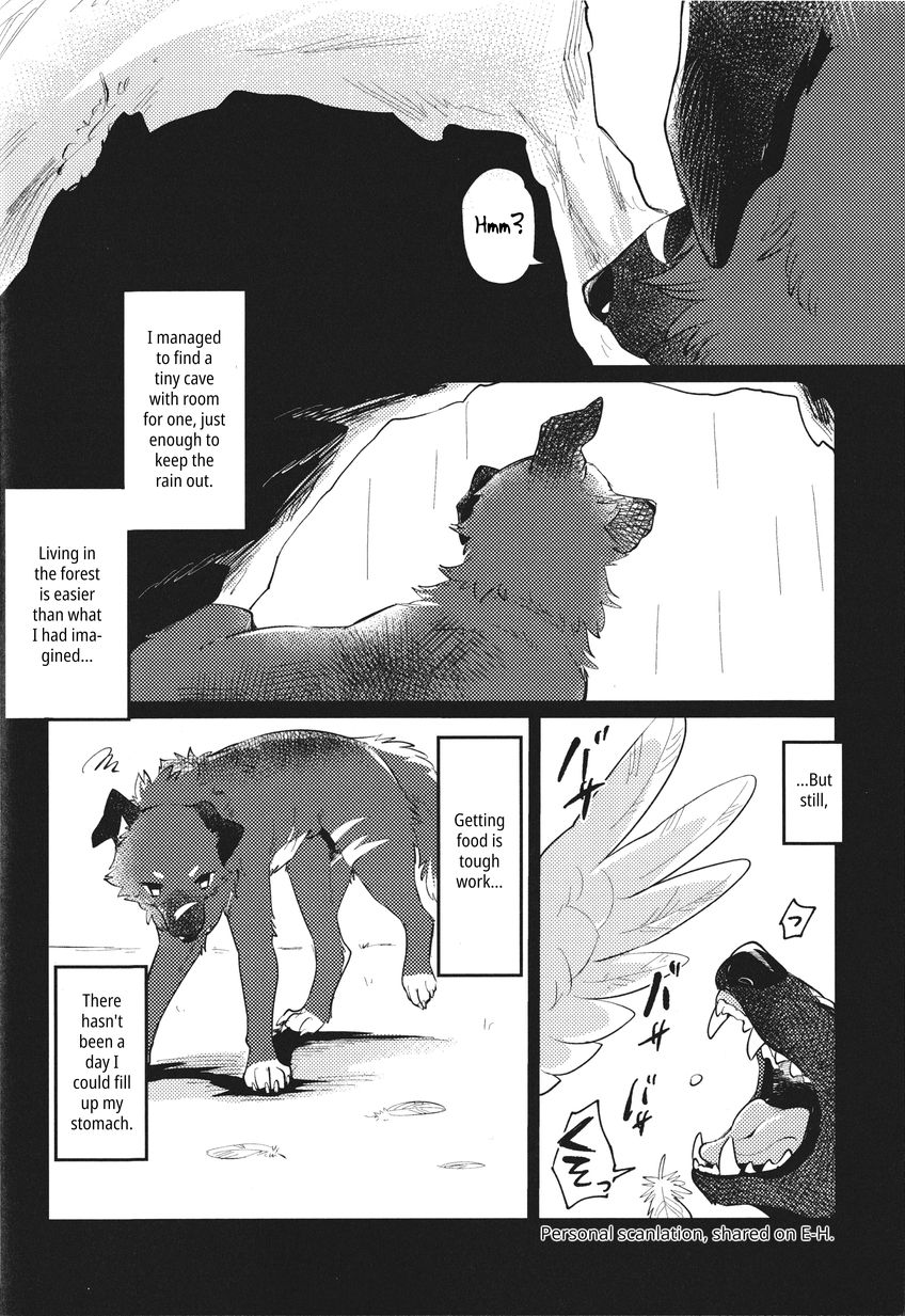 (Kemoket 14) [Kaiten ParaDOGs (Minaga Tsukune)] Kokoro Karu Made | The Tanuki and the Hound [English] - Page 10