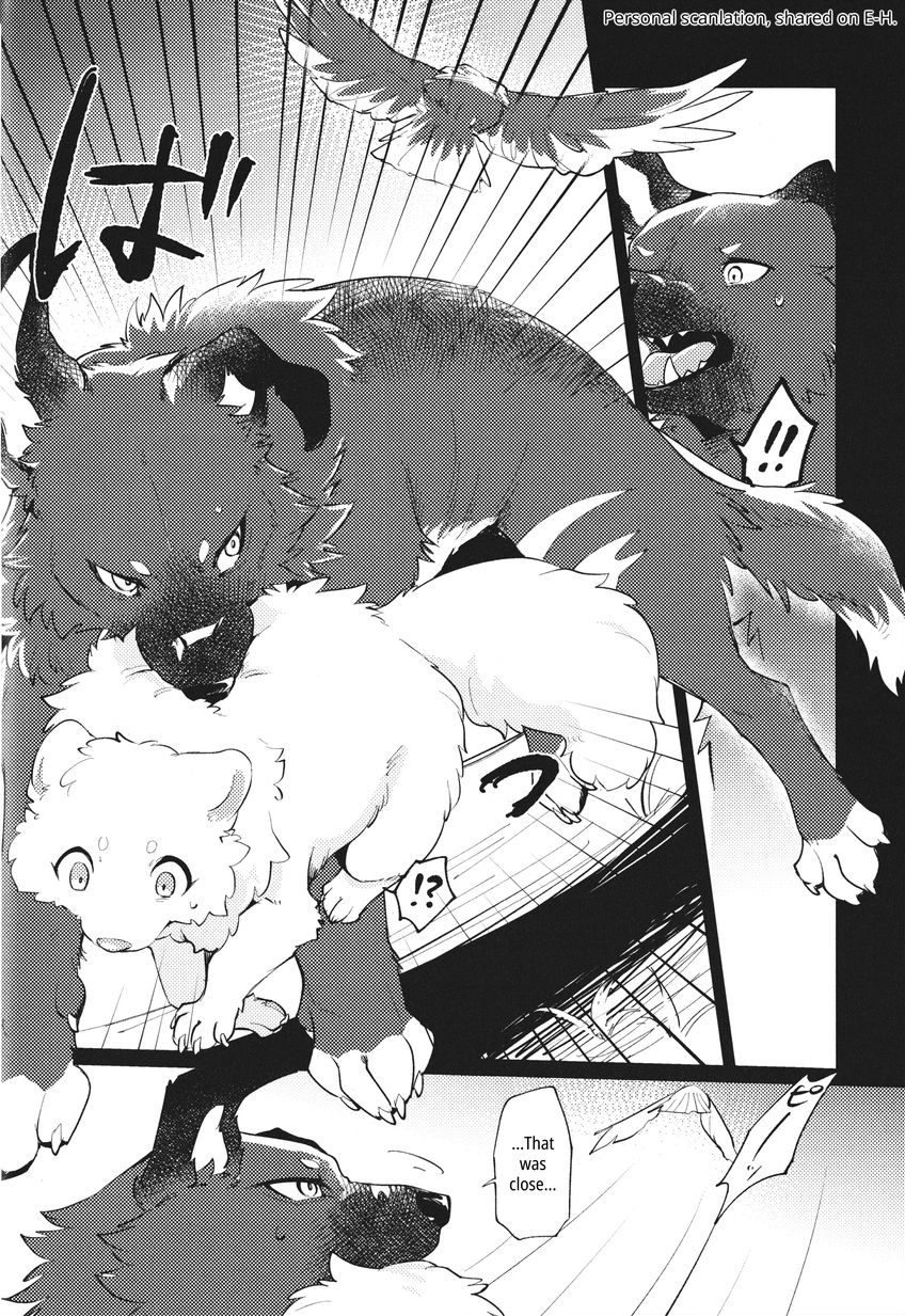 (Kemoket 14) [Kaiten ParaDOGs (Minaga Tsukune)] Kokoro Karu Made | The Tanuki and the Hound [English] - Page 12