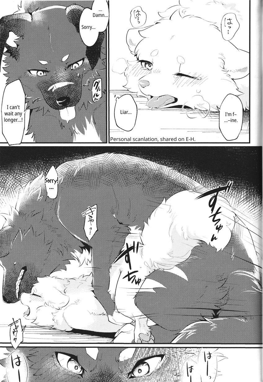 (Kemoket 14) [Kaiten ParaDOGs (Minaga Tsukune)] Kokoro Karu Made | The Tanuki and the Hound [English] - Page 33