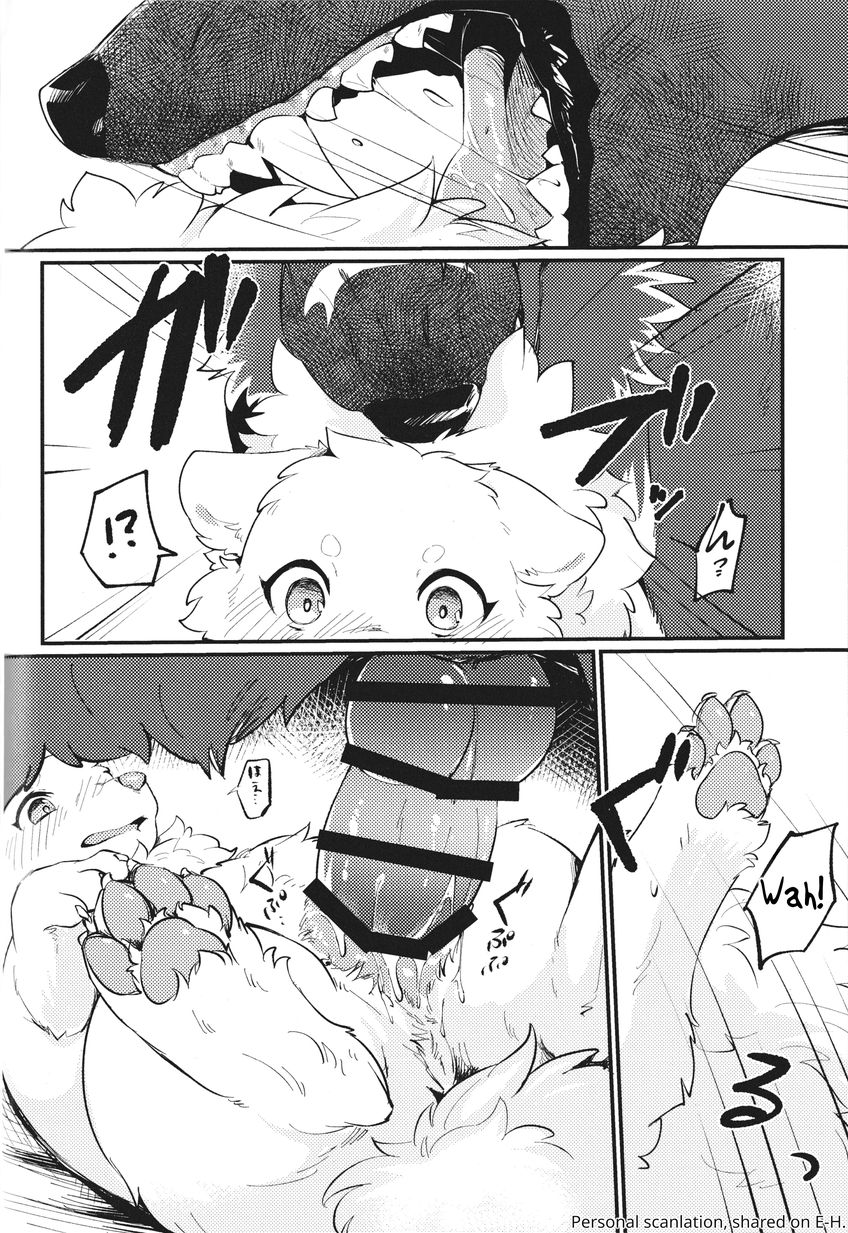 (Kemoket 14) [Kaiten ParaDOGs (Minaga Tsukune)] Kokoro Karu Made | The Tanuki and the Hound [English] - Page 34