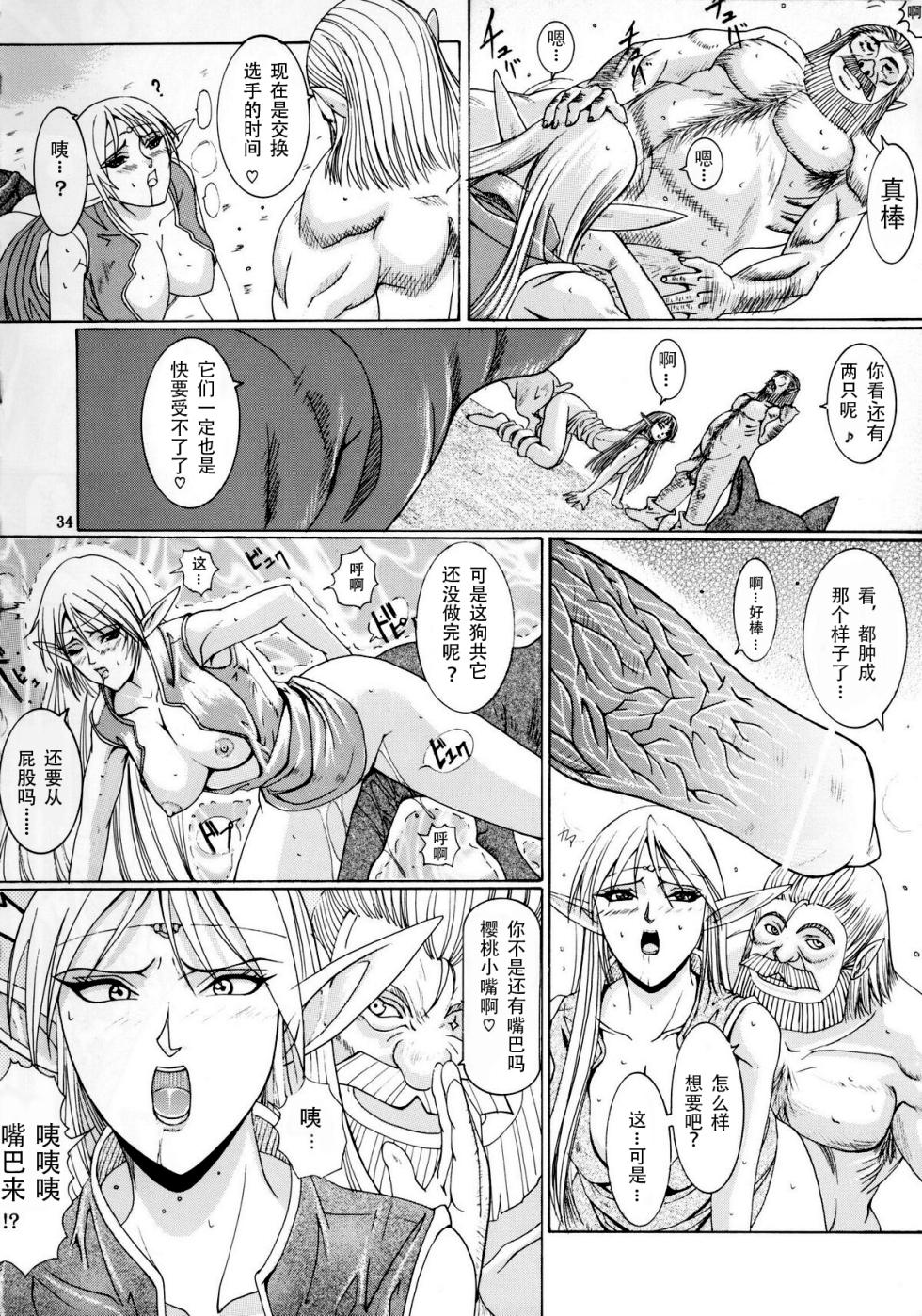 [LUCRETiA (Hiichan)] Ken-Jyuu 3 Sonnet - La Danse de la Fee (Record of Lodoss War) (chinese) - Page 33