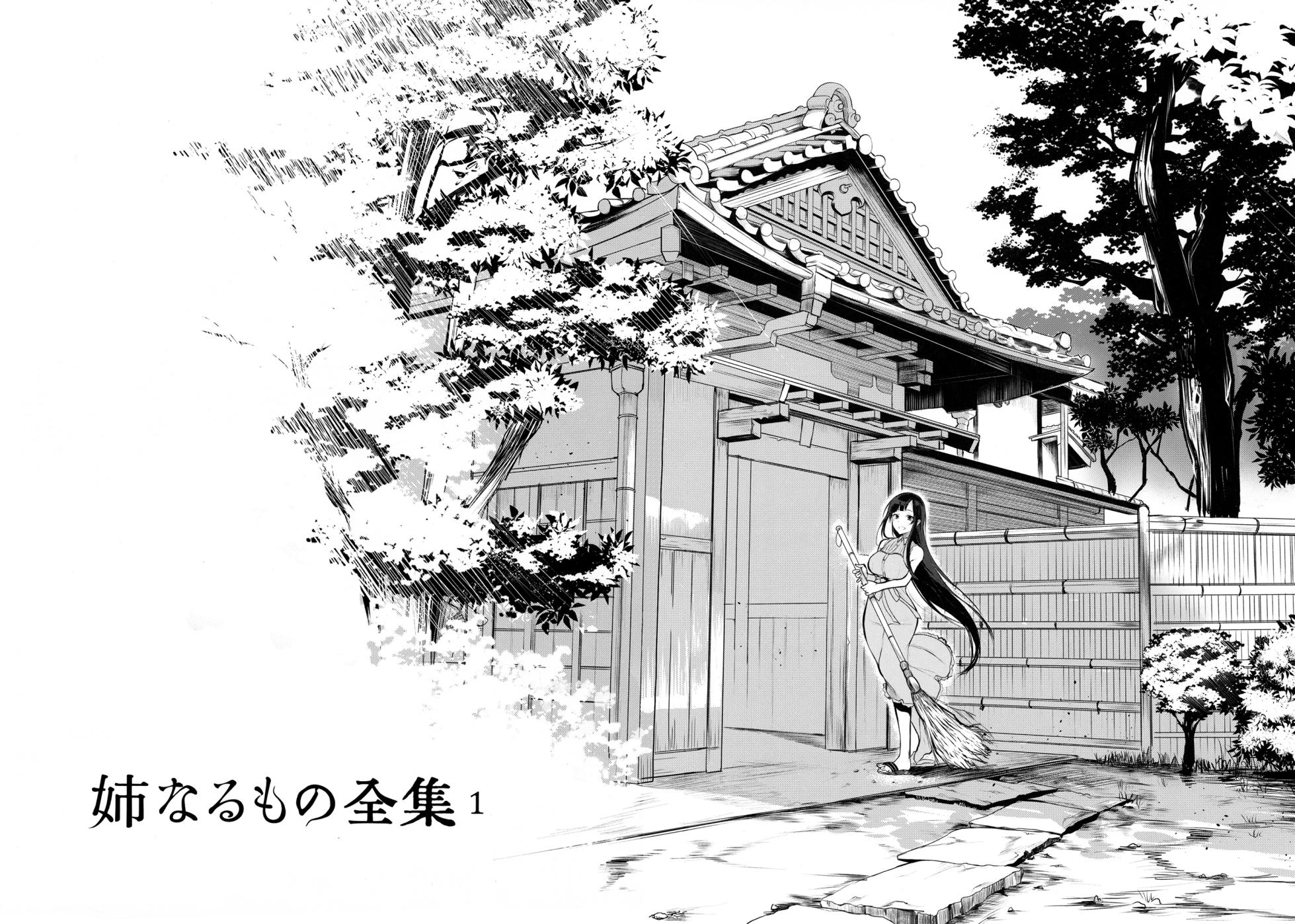 [Pochi-Goya. (Pochi.)] Ane Naru Mono chapter 1-4.5 | The Elder-Sister Like One chapter 1-4.5 - Page 3