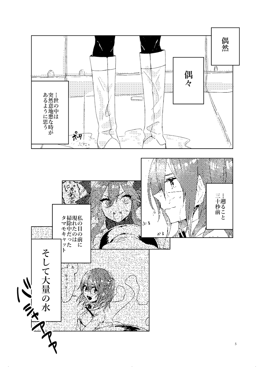 [mikecat] Anata to watashi no etosetora][ fate grand order ) - Page 3
