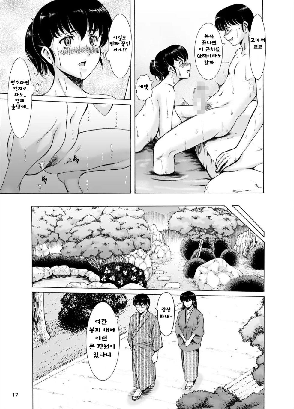 [Syouryu Yasui-Kai (Hoshino Ryuichi)] Hitozuma Kanrinin Kyouko 10 Kanketsu Hen 1 (Maison Ikkoku) [Korean] - Page 17