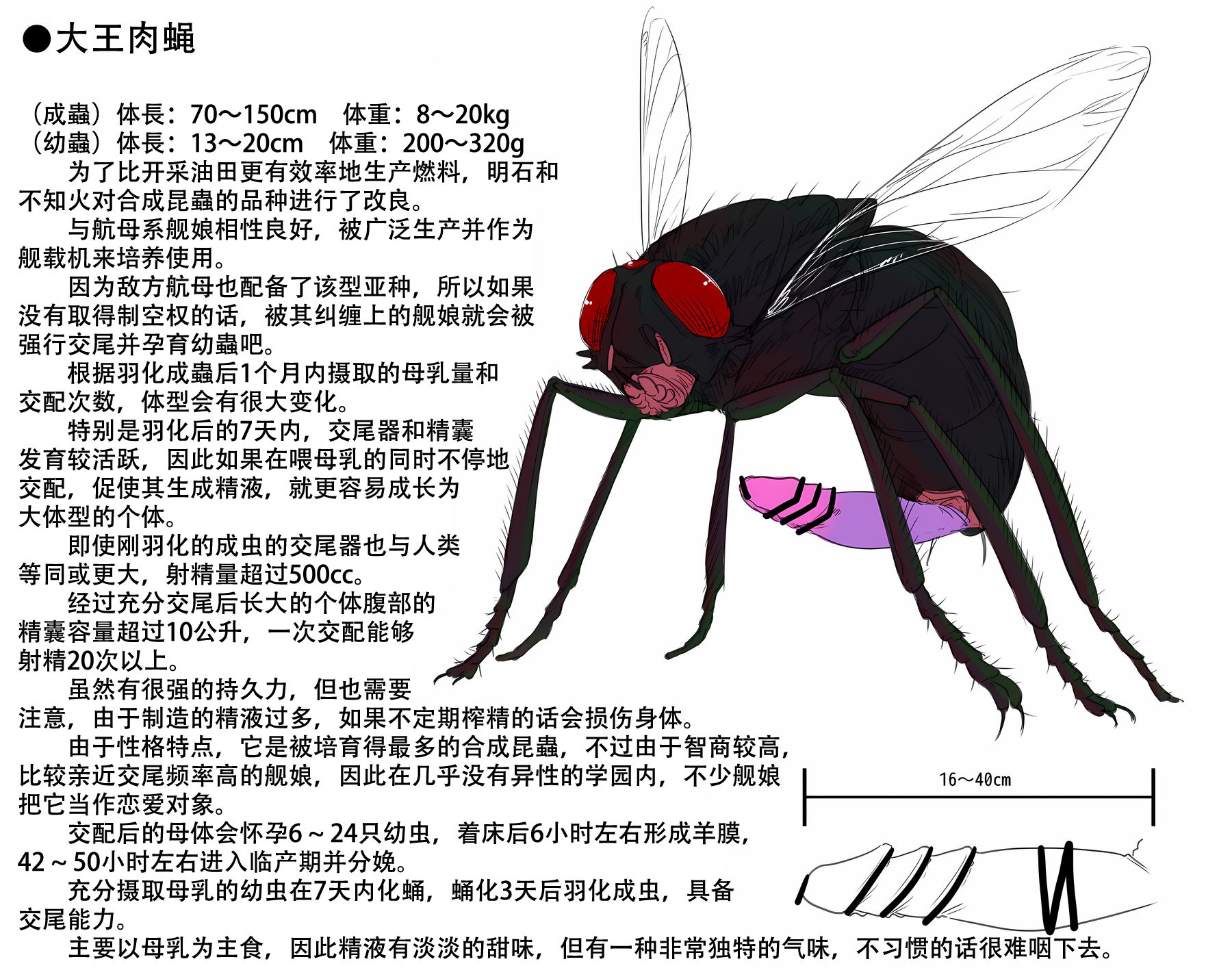[Gall] Azur Lane Insect Encyclopedia [Chinese] [小皮孩机翻润色汉化] - Page 3