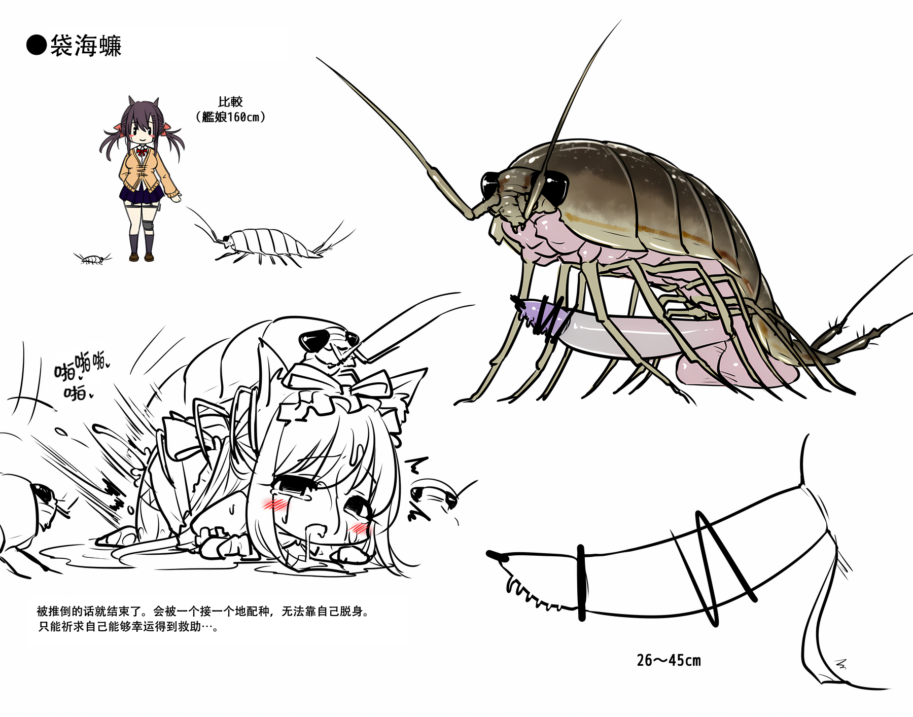 [Gall] Azur Lane Insect Encyclopedia [Chinese] [小皮孩机翻润色汉化] - Page 17