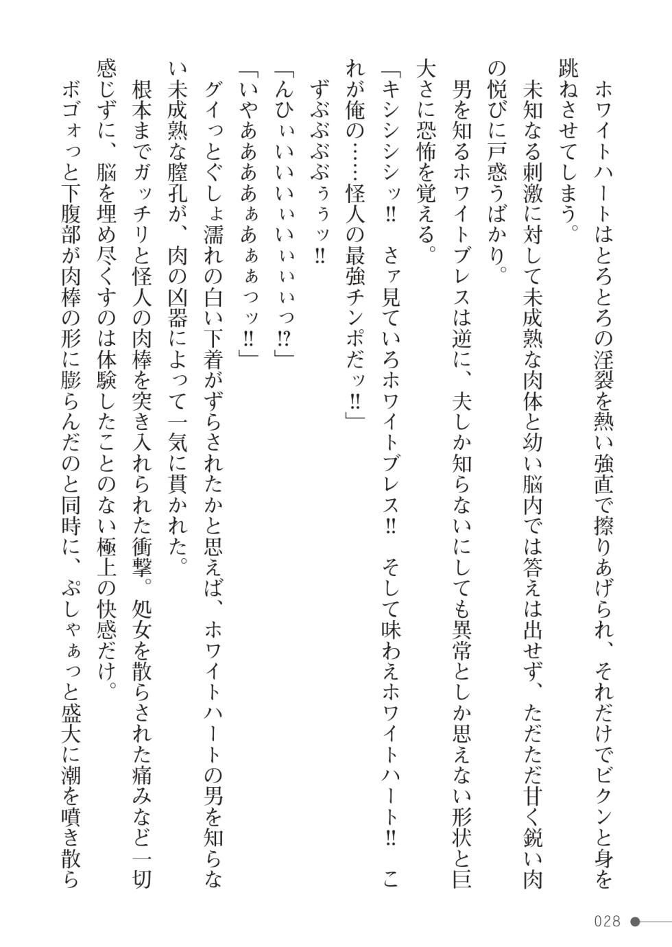 [でぃふぃー と , アイアンカー] 守護聖女ホワイトブレス [Digital] - Page 28