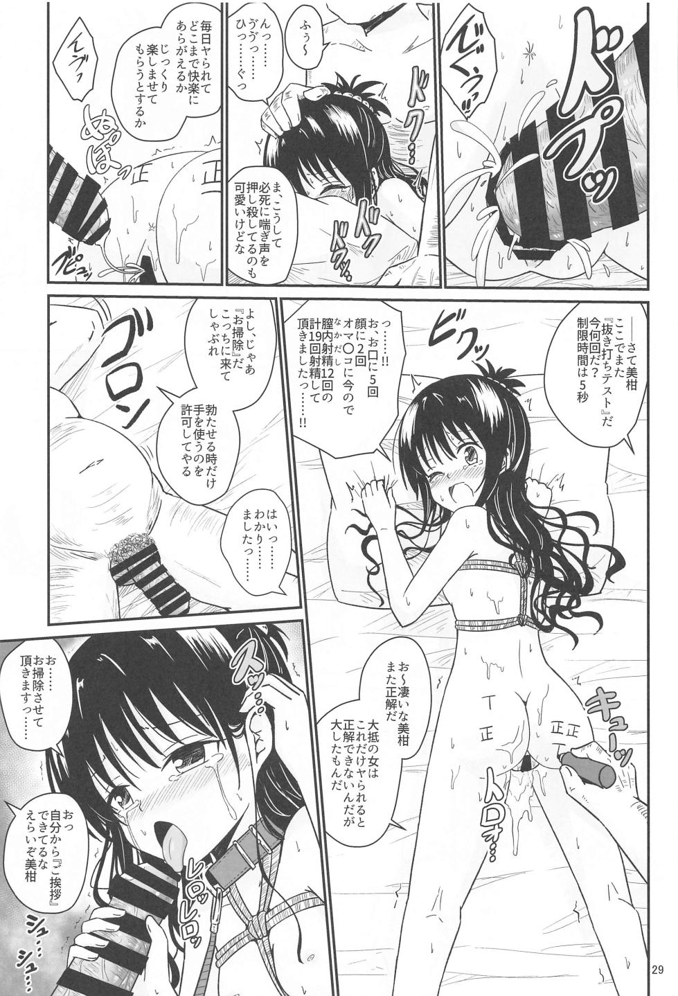 (C103) [Aiirosakura (Aikawa Ryou)] Mikan no Ecchi na Hon (To LOVE-Ru) - Page 28