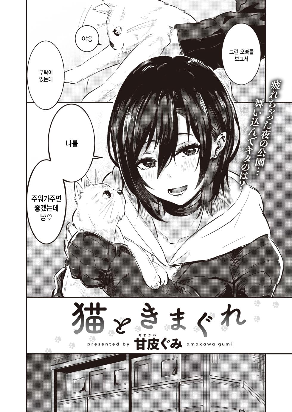 [Amakawa Gumi] Neko to Kimagure (COMIC Kairakuten BEAST 2024-02) [Korean] [팀 털난보리] [Digital] - Page 2