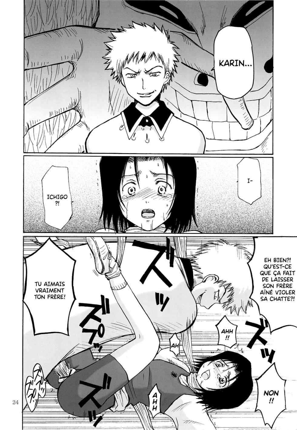[NIKOPONDO (Aoyama Reo)] OTHERSIDE Kaiteiban (Bleach) [French] [King-Xodia] - Page 24