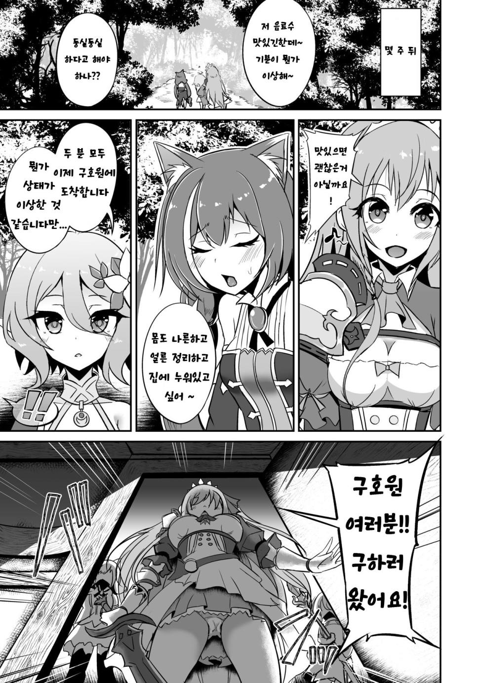 [Hakkindo (Suisui)] SAREN HARD 4 (Princess Connect! Re:Dive) [Digital] [korean] - Page 20