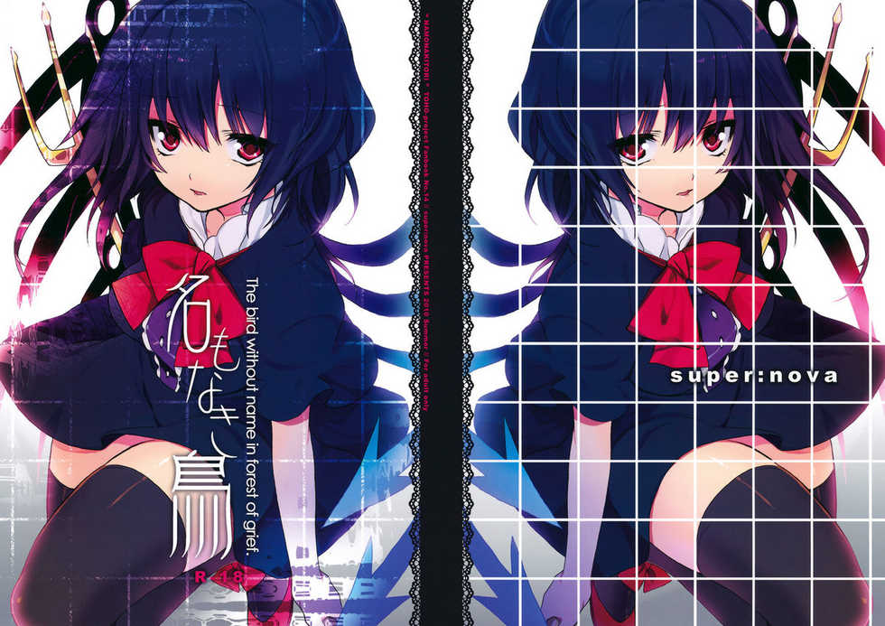 (C78) [super:nova (Yukimachi Tounosuke)] Na Mo Naki Tori  - The bird without name in forest of grief. (Touhou Project) - Page 1