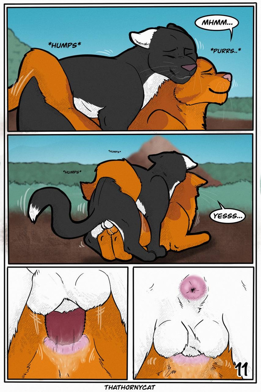 【Warriorcats】 Talltail x Jack Artist:thathornycat - Page 14