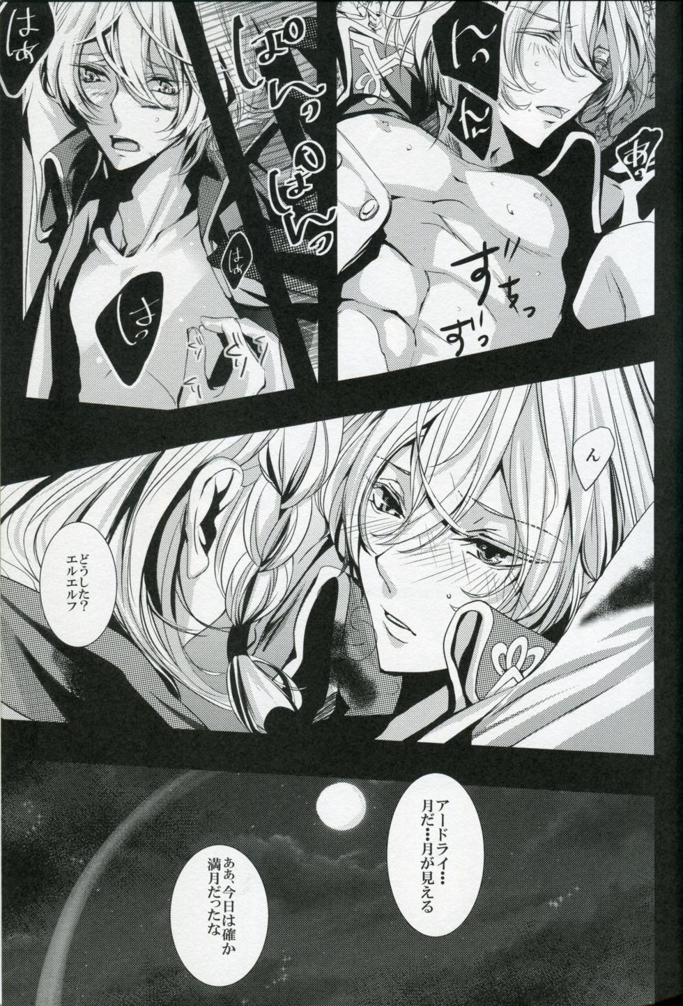 (V-RevolutionIV) [TSUKIAN (RUNa)] White Iris (Kakumeiki Valvrave) - Page 17