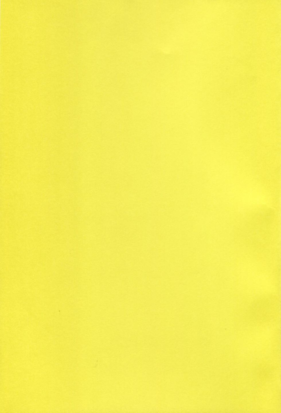 (V-RevolutionIV) [TSUKIAN (RUNa)] White Iris (Kakumeiki Valvrave) - Page 23