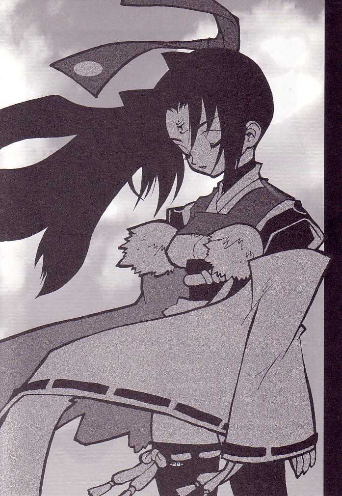 (CR31) [HF (Fujimoto Hideaki)] DraQue Miracle II (Dragon Quest) - Page 27