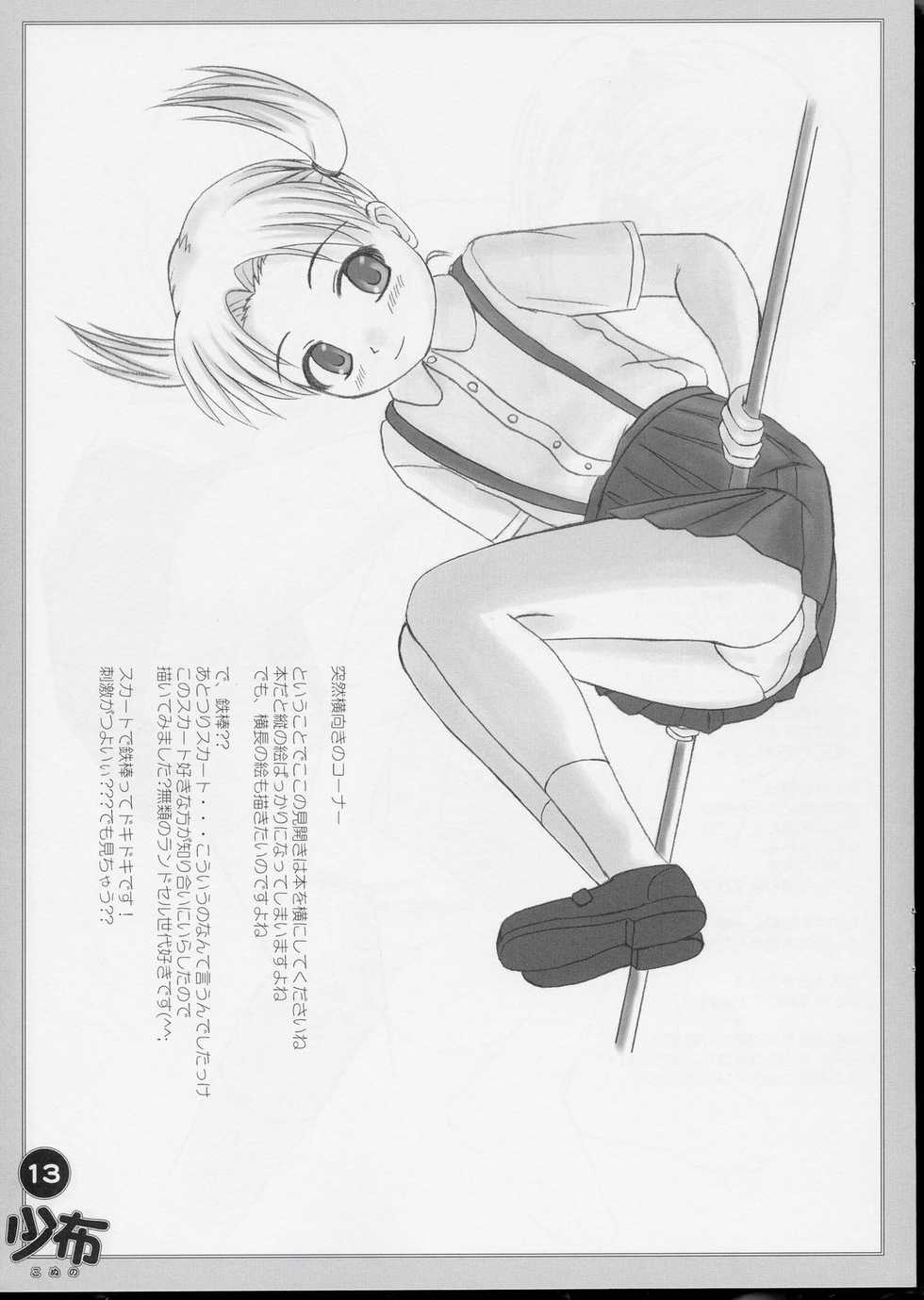 (Puniket 9) [AskRay, Interrupt Voice (Bosshi, TK4)] Konuno - Page 13