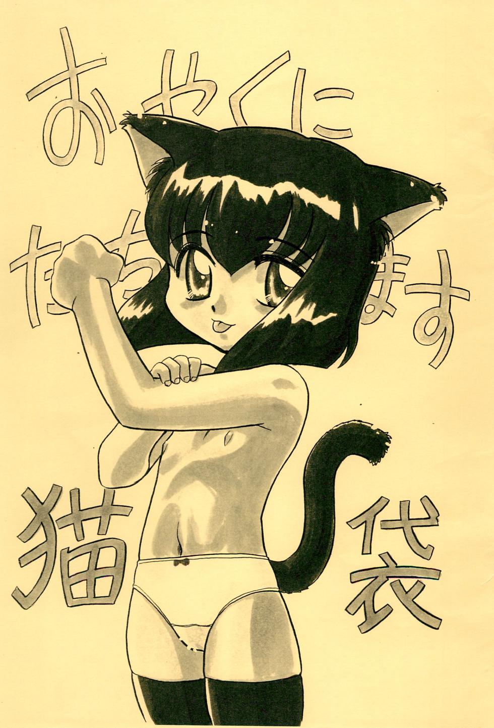 (C54) [TAKE4 PROJECT (Nekogen)] Oyaku ni Tachimasu Nekobukuro - Page 1