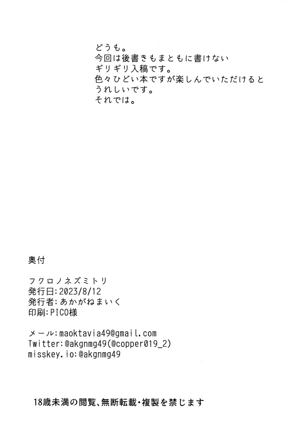 (C102) [Karukan-ist (Akagane Mic)] Fukuro no Nezumi Tori (Granblue Fantasy) [Chinese] [想日电酱汉化组] - Page 22