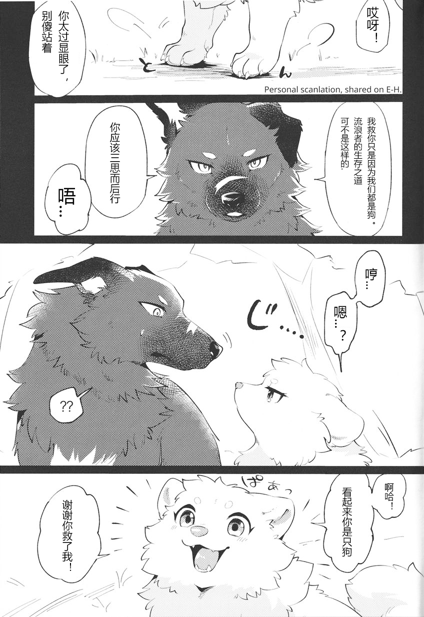 (Kemoket 14) [Kaiten ParaDOGs (Minaga Tsukune)] Kokoro Karu Made [Chinese] [猫环汉化] - Page 13