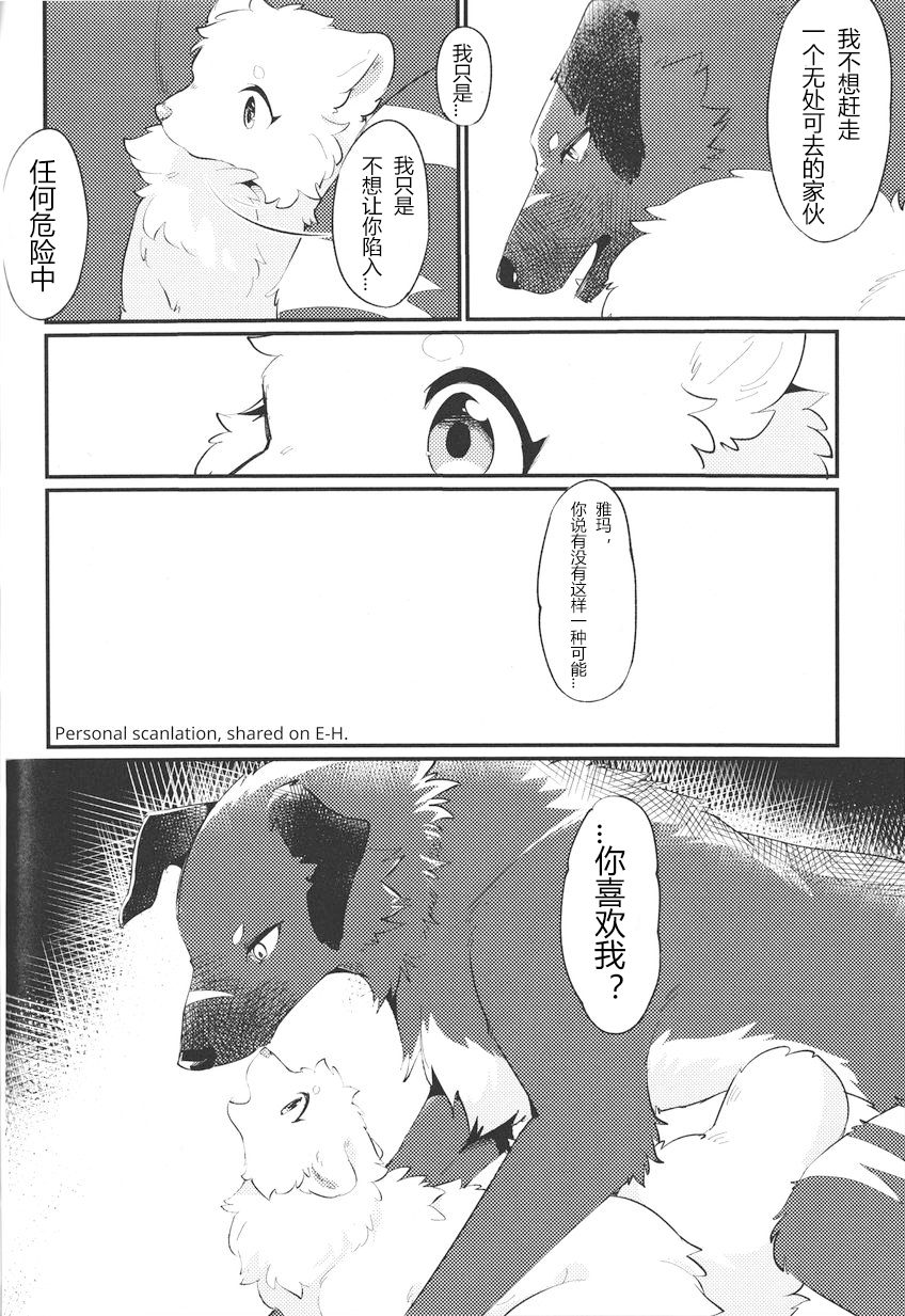 (Kemoket 14) [Kaiten ParaDOGs (Minaga Tsukune)] Kokoro Karu Made [Chinese] [猫环汉化] - Page 20