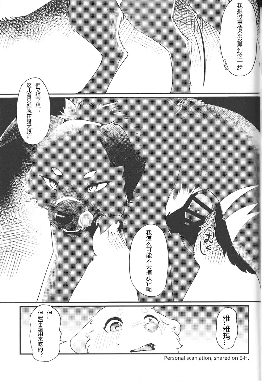 (Kemoket 14) [Kaiten ParaDOGs (Minaga Tsukune)] Kokoro Karu Made [Chinese] [猫环汉化] - Page 29