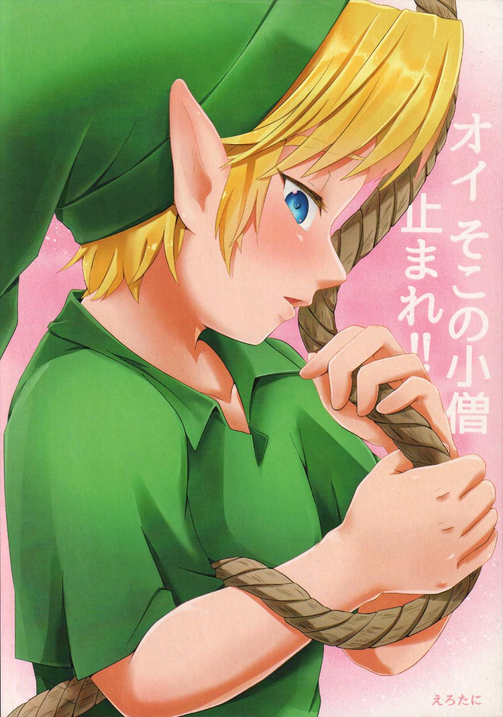 (ALL STAR 4) [Erotani] Oi soko no kozō tomare!! (The Legend of Zelda) - Page 34