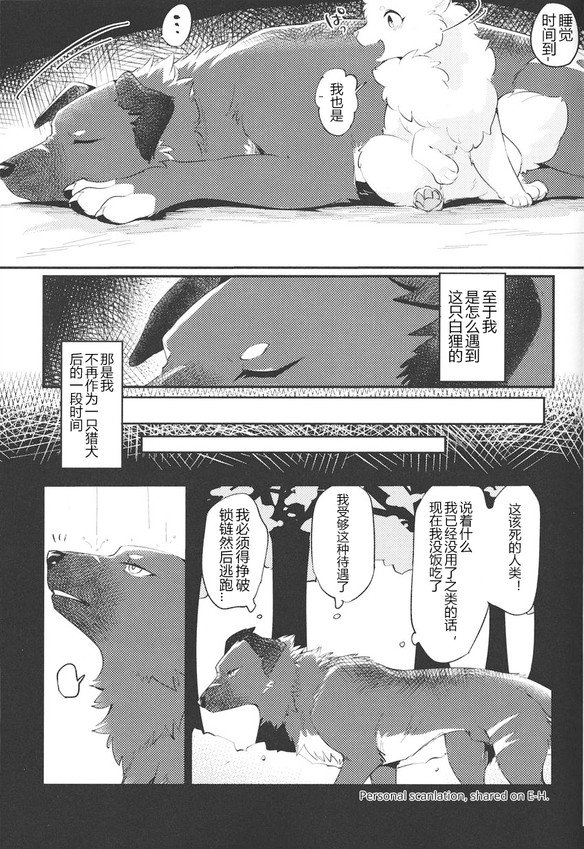 (Kemoket 14) [Kaiten ParaDOGs (Minaga Tsukune)] Kokoro Karu Made [Chinese] [猫环汉化] - Page 9