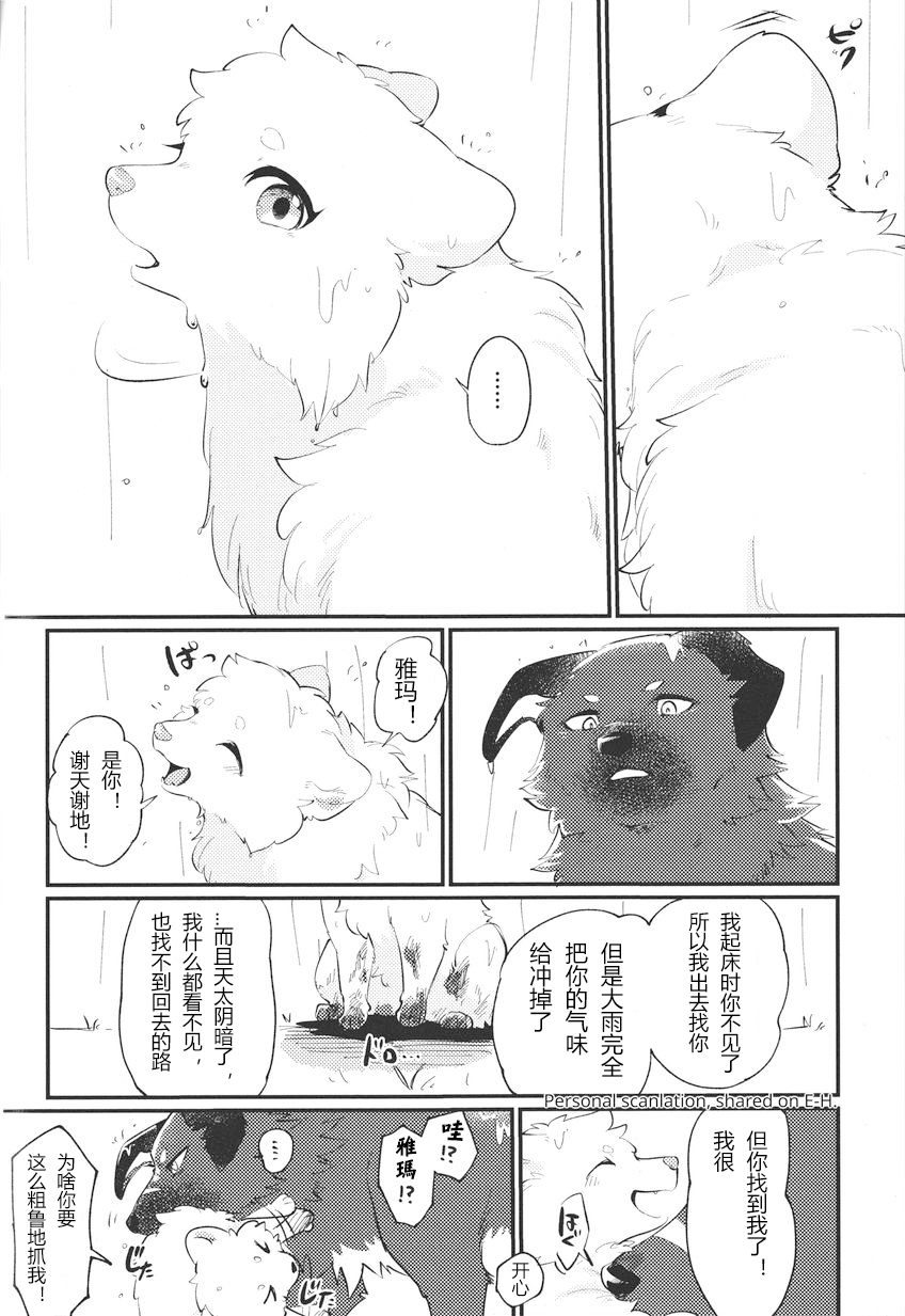 (Kemoket 14) [Kaiten ParaDOGs (Minaga Tsukune)] Kokoro Karu Made [Chinese] [猫环汉化] - Page 18