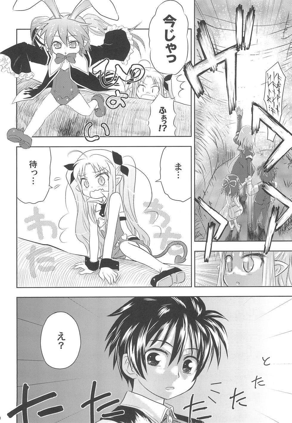 (Tenshi no Clover 2) [Tentai→Kansoku (E*)] Maigo no Maigo no Hime-sama Plus (Lotte no Omocha!) - Page 10
