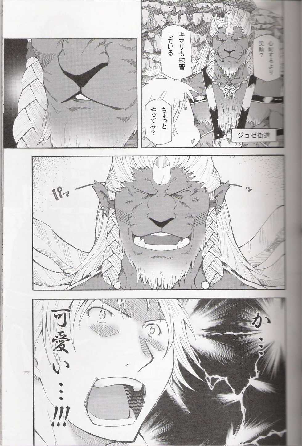(C78) [Toratora-ya (Toratora)] Vanaspira Ero Nikki (Final Fantasy X, Final Fantasy XI) - Page 5
