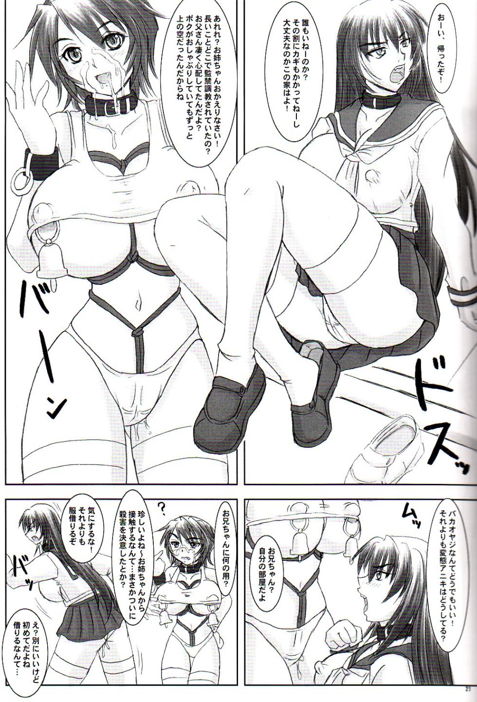 (C68) [Nozarashi (Nozarashi Satoru)] Tatakae! Kyouhime-sama!! - Page 21