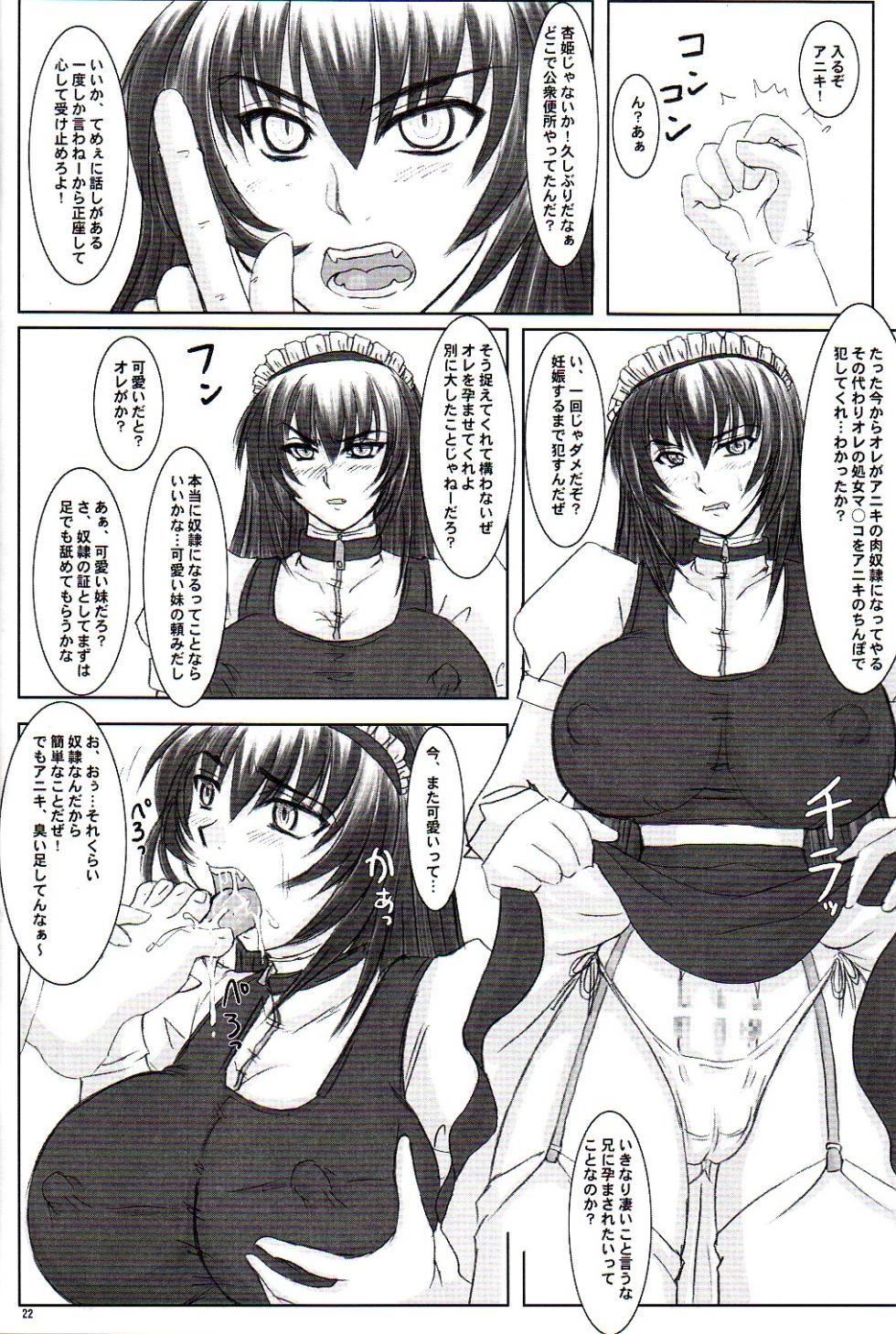 (C68) [Nozarashi (Nozarashi Satoru)] Tatakae! Kyouhime-sama!! - Page 22