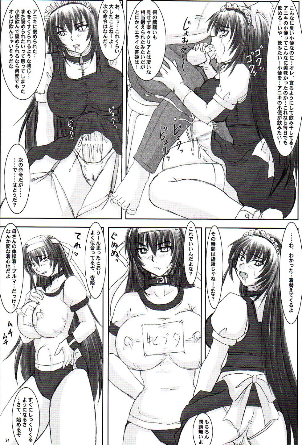 (C68) [Nozarashi (Nozarashi Satoru)] Tatakae! Kyouhime-sama!! - Page 24