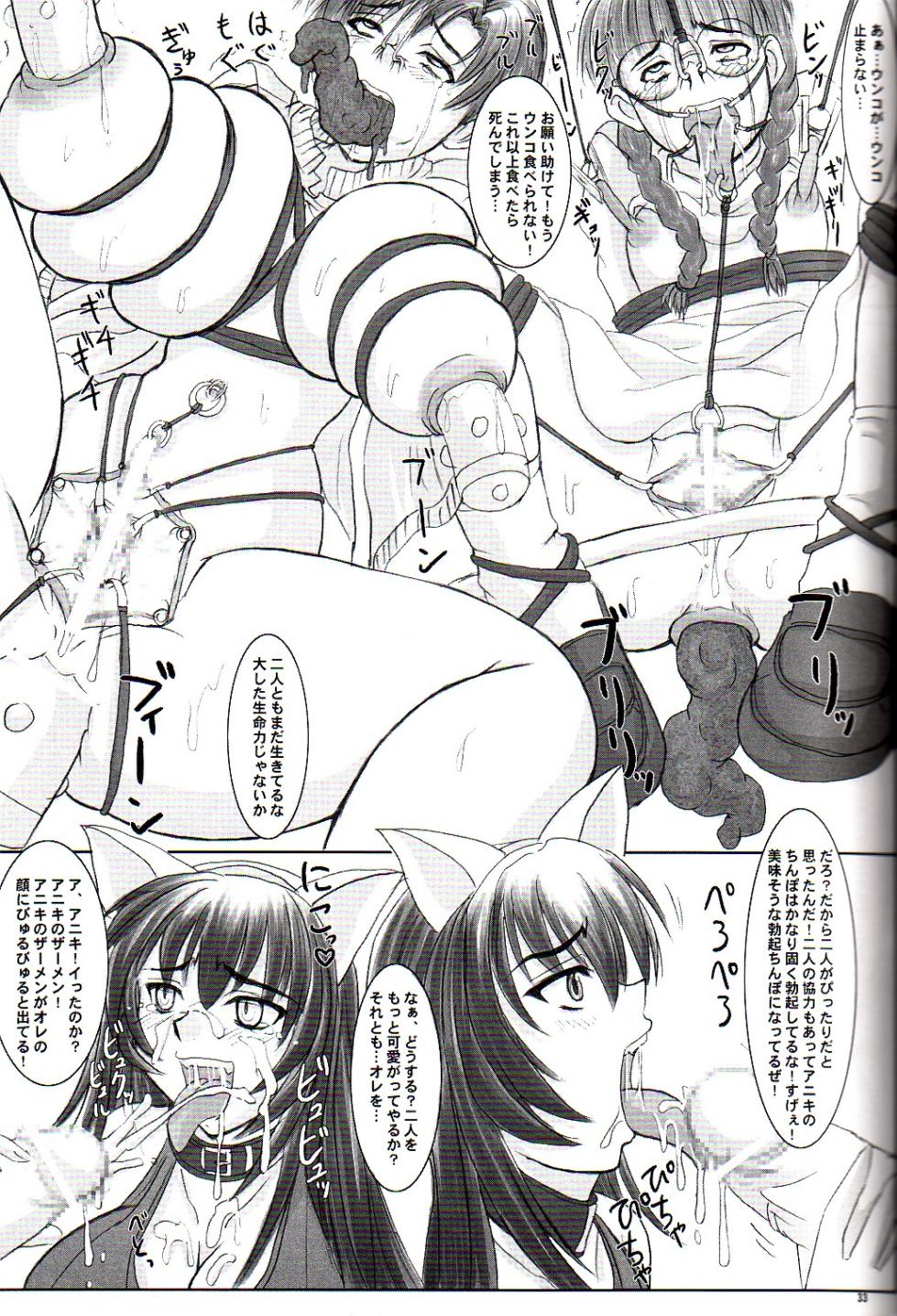 (C68) [Nozarashi (Nozarashi Satoru)] Tatakae! Kyouhime-sama!! - Page 33