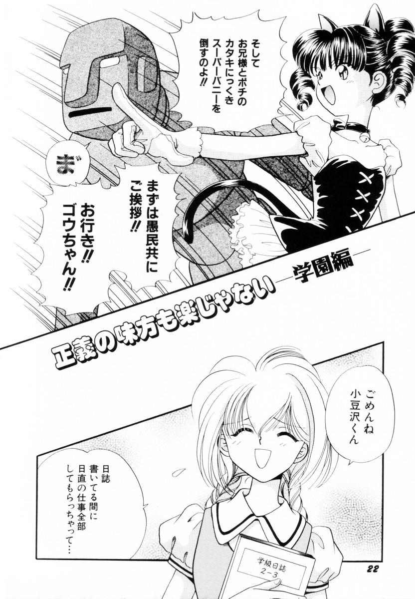 [Nagareboshi Hikaru] Seigi no Mikata mo Raku Janai - Page 25