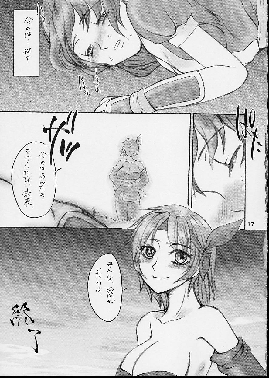 (CR32) [Sarurururu (Doru Riheko)] Rinne (Dead or Alive) - Page 17