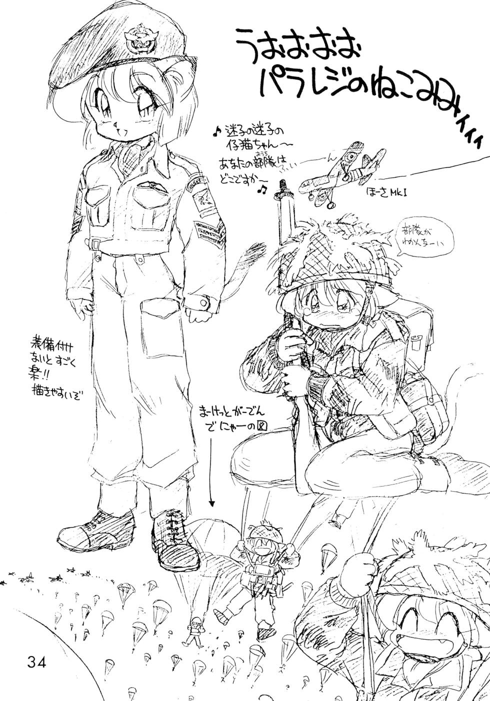 (C47) [Dedepoppo (Ebifly)] Dai-857 Dokuritsu Guren-tai - Page 34