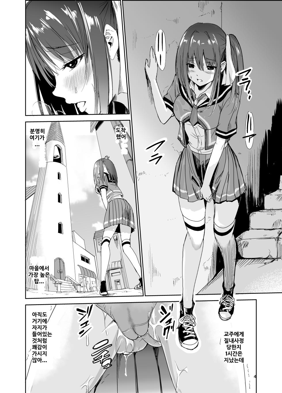 [Raid Socks (Tricky)] Tsuyagari Mura 3 ~Kareshi o Mamoru Tame Hikyou no Mura de Kyousei Gohoushi & NTR Sex~ [korean] - Page 3