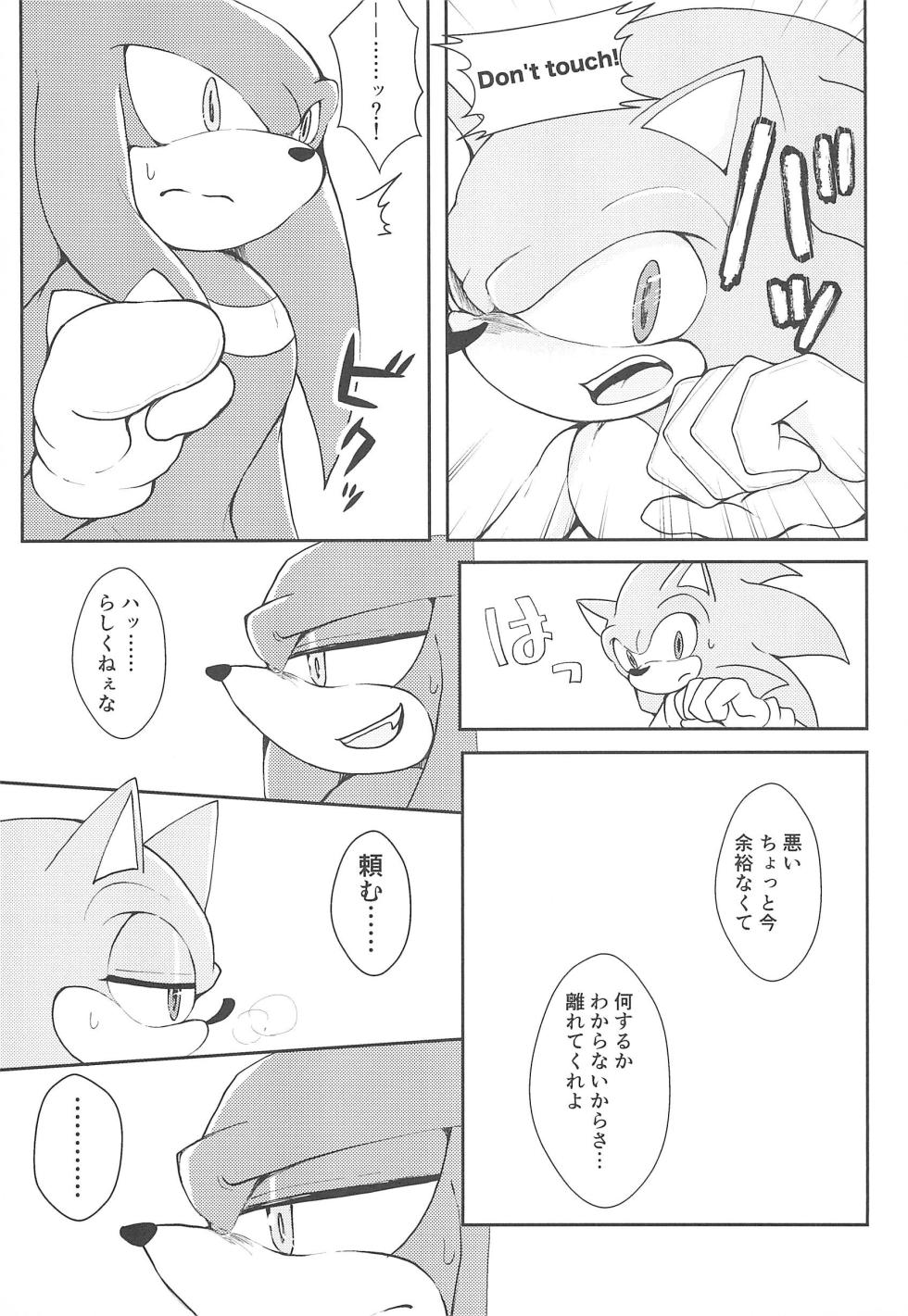 (Sega no Game wa Sekaichi System 18) [Great Escape! (kot)] Hatsujouki o Mukaeta no de Angel Island ni Hinan shitekita (Sonic the Hedgehog) - Page 9