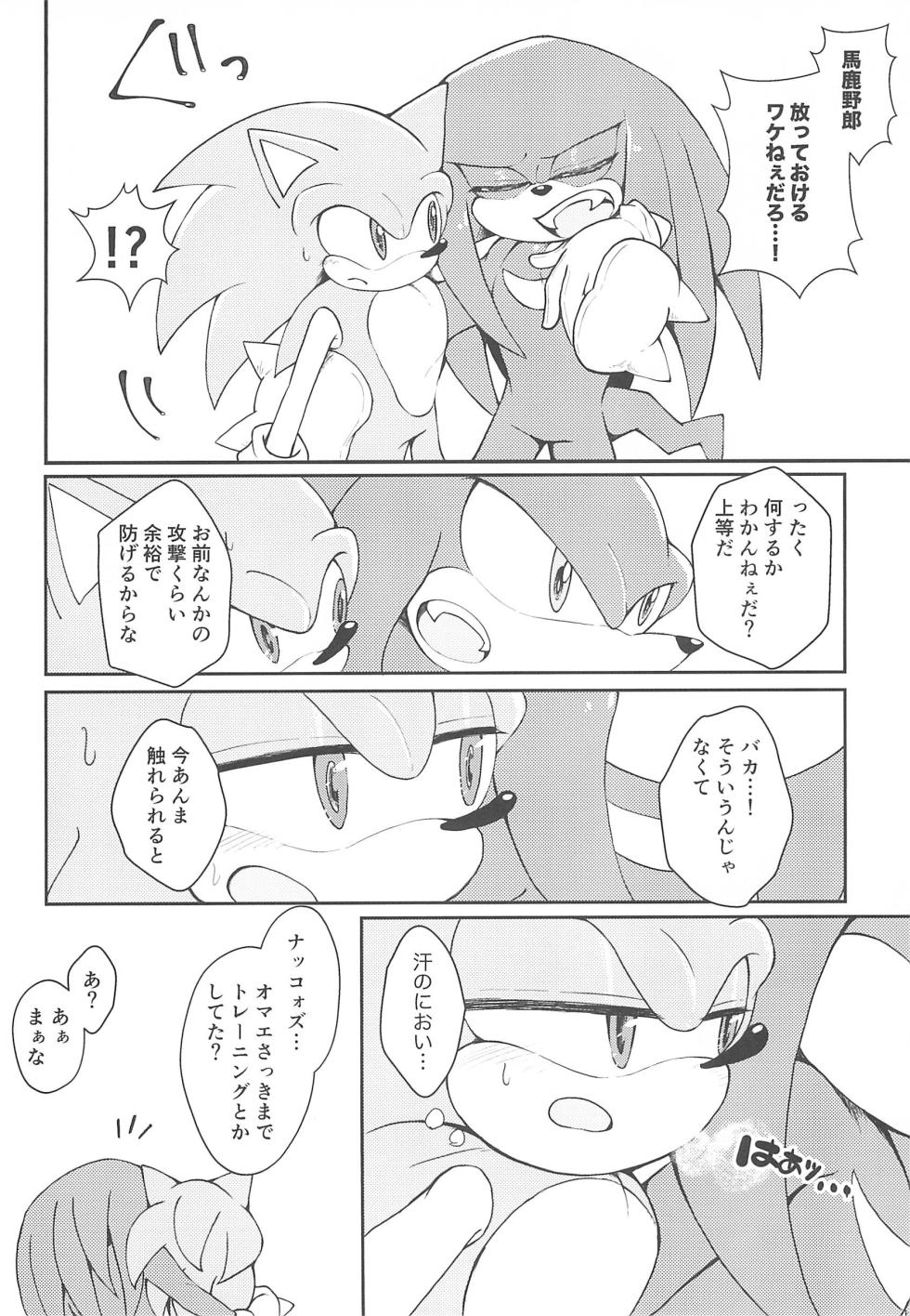 (Sega no Game wa Sekaichi System 18) [Great Escape! (kot)] Hatsujouki o Mukaeta no de Angel Island ni Hinan shitekita (Sonic the Hedgehog) - Page 10