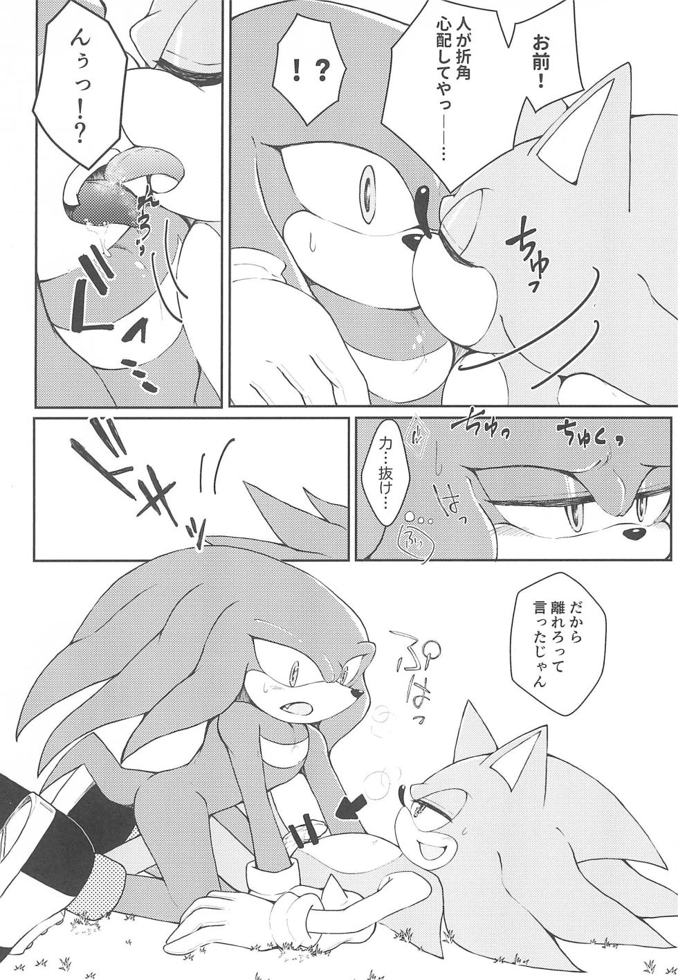 (Sega no Game wa Sekaichi System 18) [Great Escape! (kot)] Hatsujouki o Mukaeta no de Angel Island ni Hinan shitekita (Sonic the Hedgehog) - Page 12