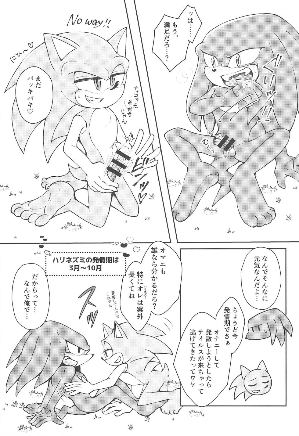 (Sega no Game wa Sekaichi System 18) [Great Escape! (kot)] Hatsujouki o Mukaeta no de Angel Island ni Hinan shitekita (Sonic the Hedgehog) - Page 17