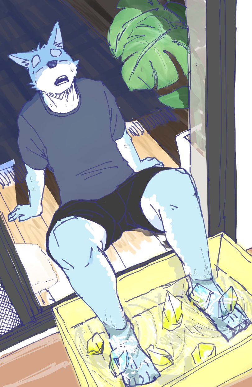 [Nicosando(Nico)]Nico的日常短漫[Chinese](四自蝇汉化) - Page 38