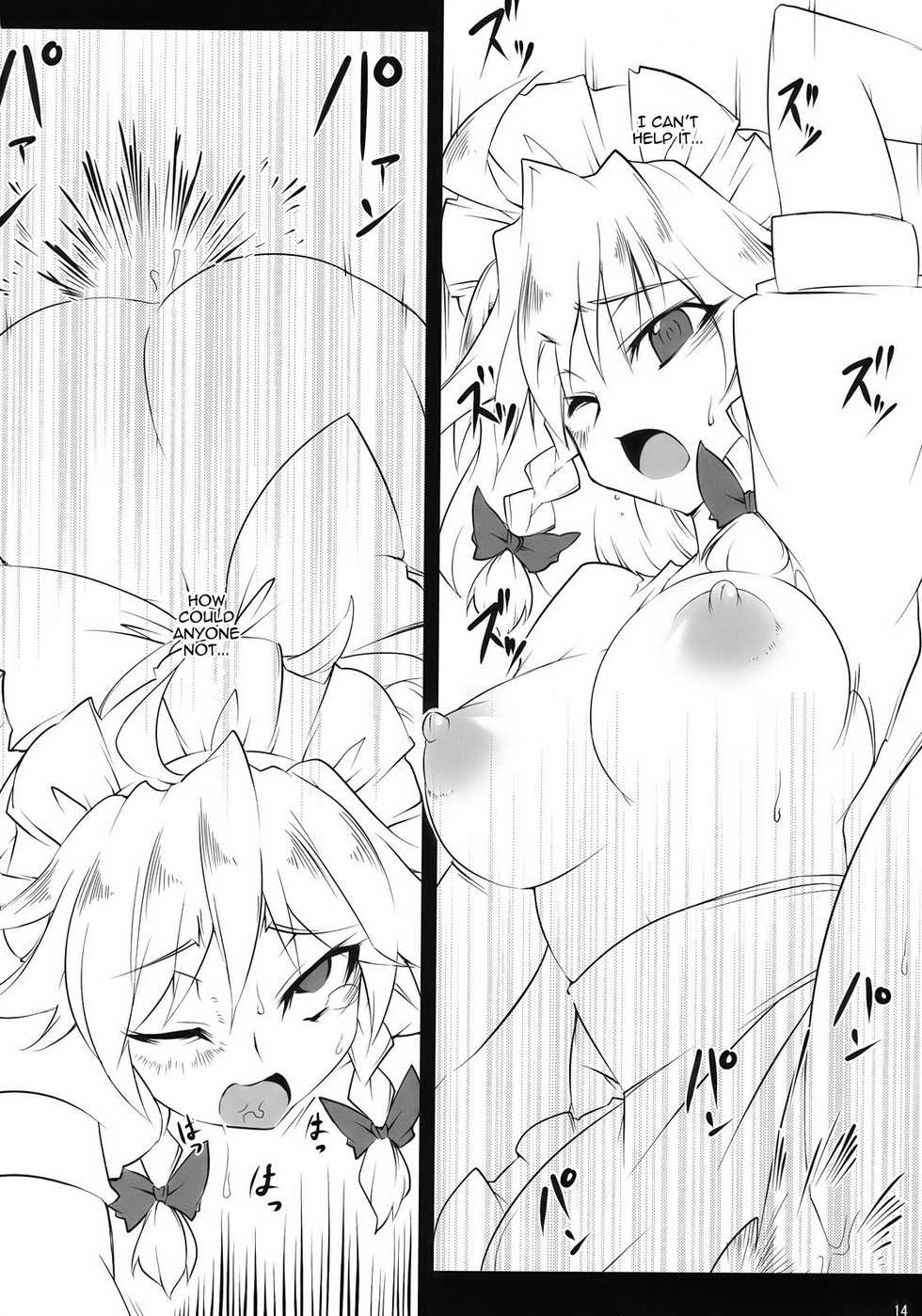 (C78) [BURUMAN (Tajima Yuki)] S&M Violence (Touhou Project) [English] =LWB= - Page 14