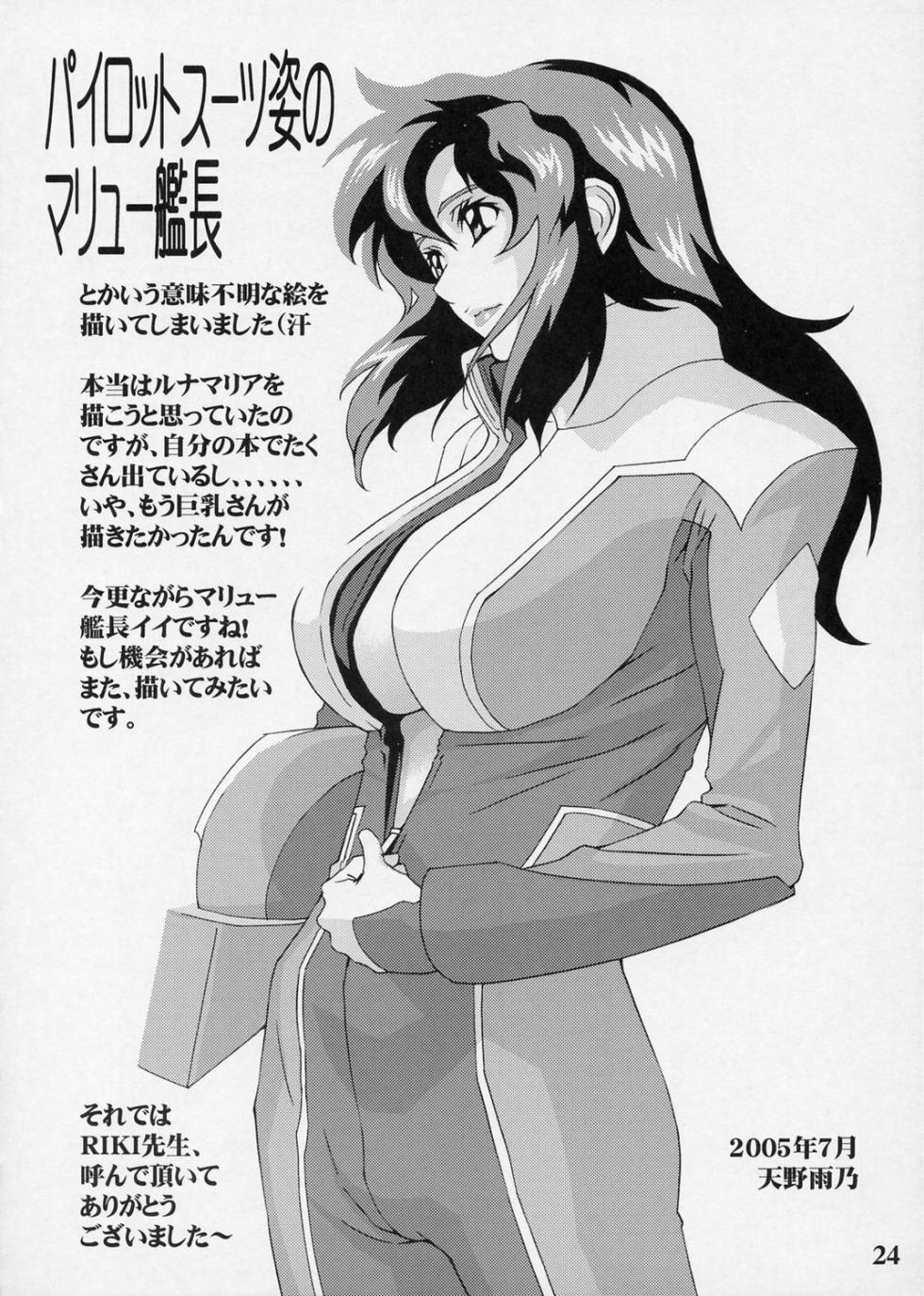 (C68) [RIKI] Chinderella (Gundam SEED DESTINY) - Page 23