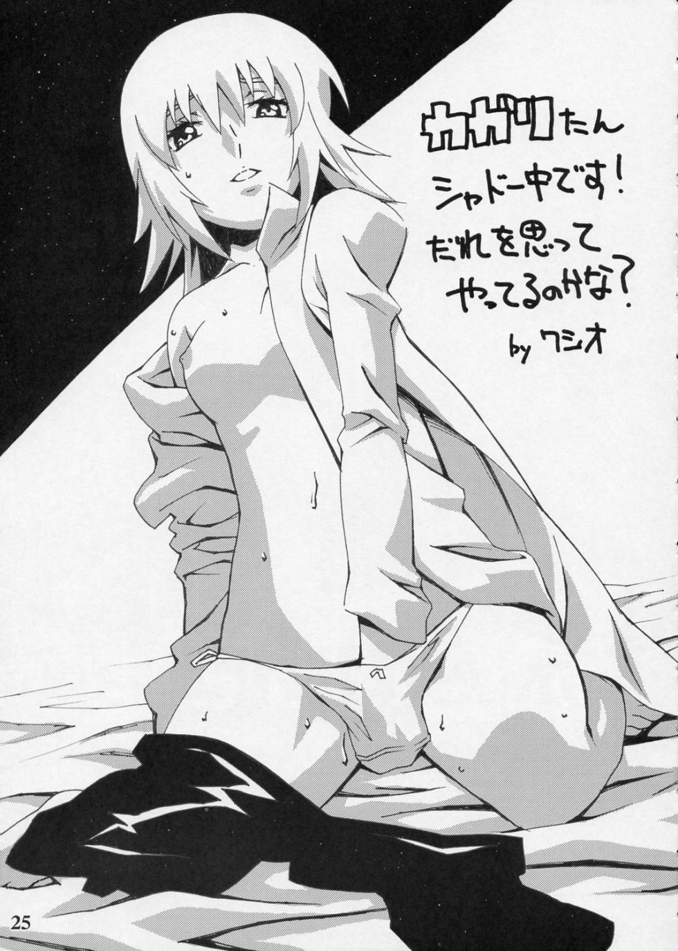 (C68) [RIKI] Chinderella (Gundam SEED DESTINY) - Page 24